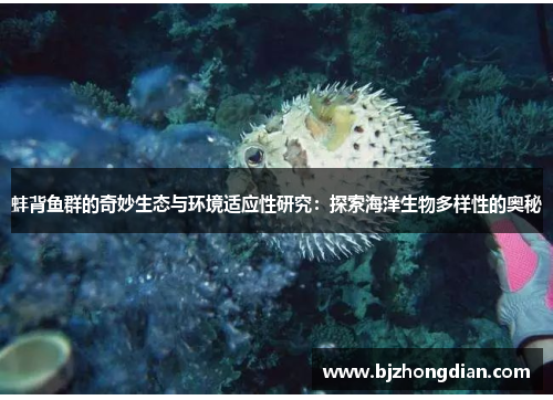 蚌背鱼群的奇妙生态与环境适应性研究：探索海洋生物多样性的奥秘